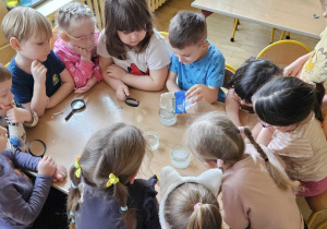 Eksperymenty - dzieci siedzą z lupami przy stoliku, jeden chłopiec wsypuje sól do słoikia