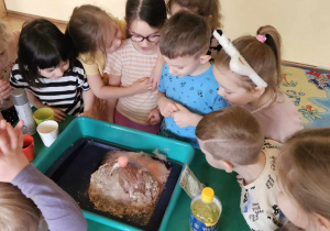 Eksperymenty - dzieci obserwują efekt wylewającej się lawy z wulkanu