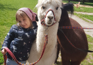 Spotkanie z alpakami.