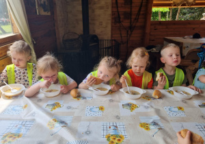 Zdjęcie 14 na 28