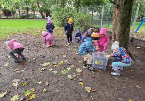 Dzieci w ogrodzie przedszkolnym zbierają kasztany.