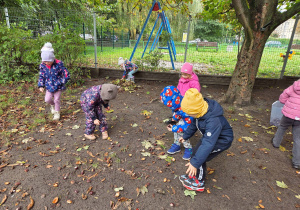 Dzieci w ogrodzie przedszkolnym zbierają kasztany.