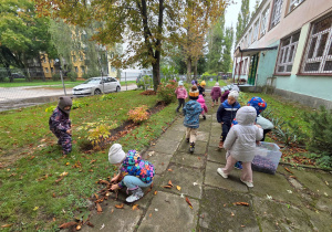 Dzieci w ogrodzie przedszkolnym zbierają kasztany.