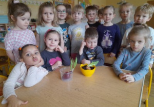 Dzieci na zajęciach przyrodniczych sadzą owies