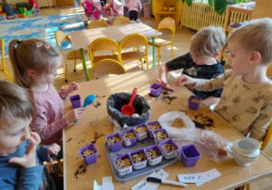 Dzieci na zajęciach przyrodniczych sadzą owies