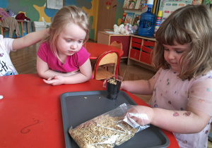 Dziewczynka sadzi owies