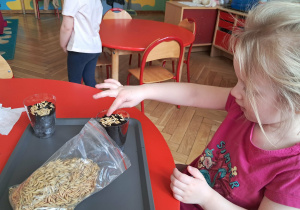 Dziewczynka sadzi owies