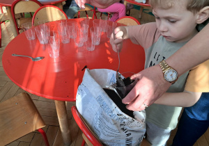 Chłopiec nabiera do kubeczka ziemię