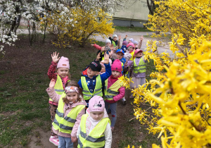 Dzieci obserwują forsycje.