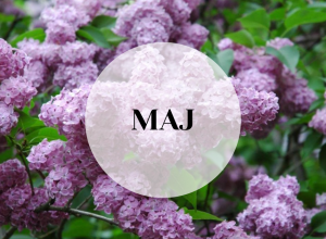 Maj