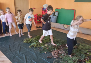 Dzieci chodzą na boso jedno za drugim po leśnej ścieżce sensorycznej