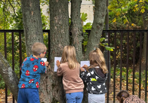 Troje dzieci przykłada kartki papieru do pni drzewa