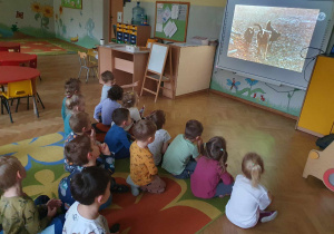 Dzień Kundelka - dzieci oglądają prezentację multimedialną o kundelkach