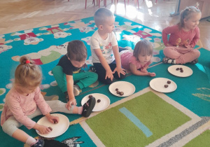Dzieci siedzą w kole na dywanie i układają na swoim talerzyku wskazaną przez nauczyciela ilość kasztanów