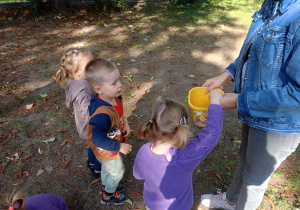 Dzieci wkładają kasztany do wiaderka