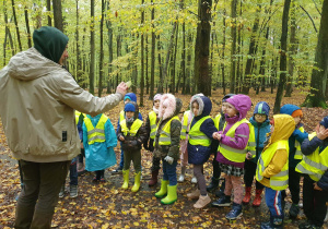Dzieci słuchają przewodnika w lesie