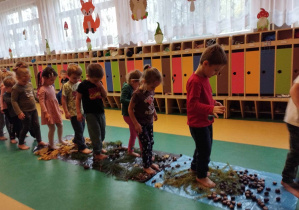 Ścieżka sensoryczna - dzieci przechodzą gołymi stopami po ścieżce ułożonej z darów jesieni