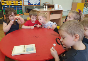 Zabawy badawcze - dzieci siedzą przy stolikach i oglądają preparaty botaniczne z wykorzystaniem lup
