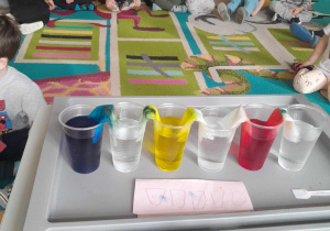 Dzieci obserwują przemieszczanie się barw na zanurzonych chusteczkach od wody zabarwionej do przezroczystej