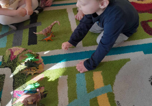 Chłopiec dokłada figurkę dinozaura do właściwej rodziny