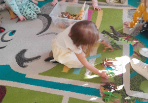 Dziewczynka dokłada figurkę dinozaura do właściwej rodziny
