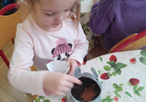 Dziewczynka wsypuje nasiona do doniczki
