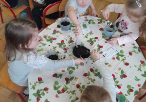 Dzieci nasypują ziemię do doniczek z użyciem łyżek