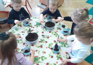 Dzieci nasypują ziemię do doniczek z użyciem łyżek